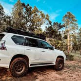 Review photo of Coconino Rim Road Dispersed Camping by Cassie T., May 21, 2023