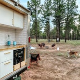 Review photo of Coconino Rim Road Dispersed Camping by Cassie T., May 21, 2023