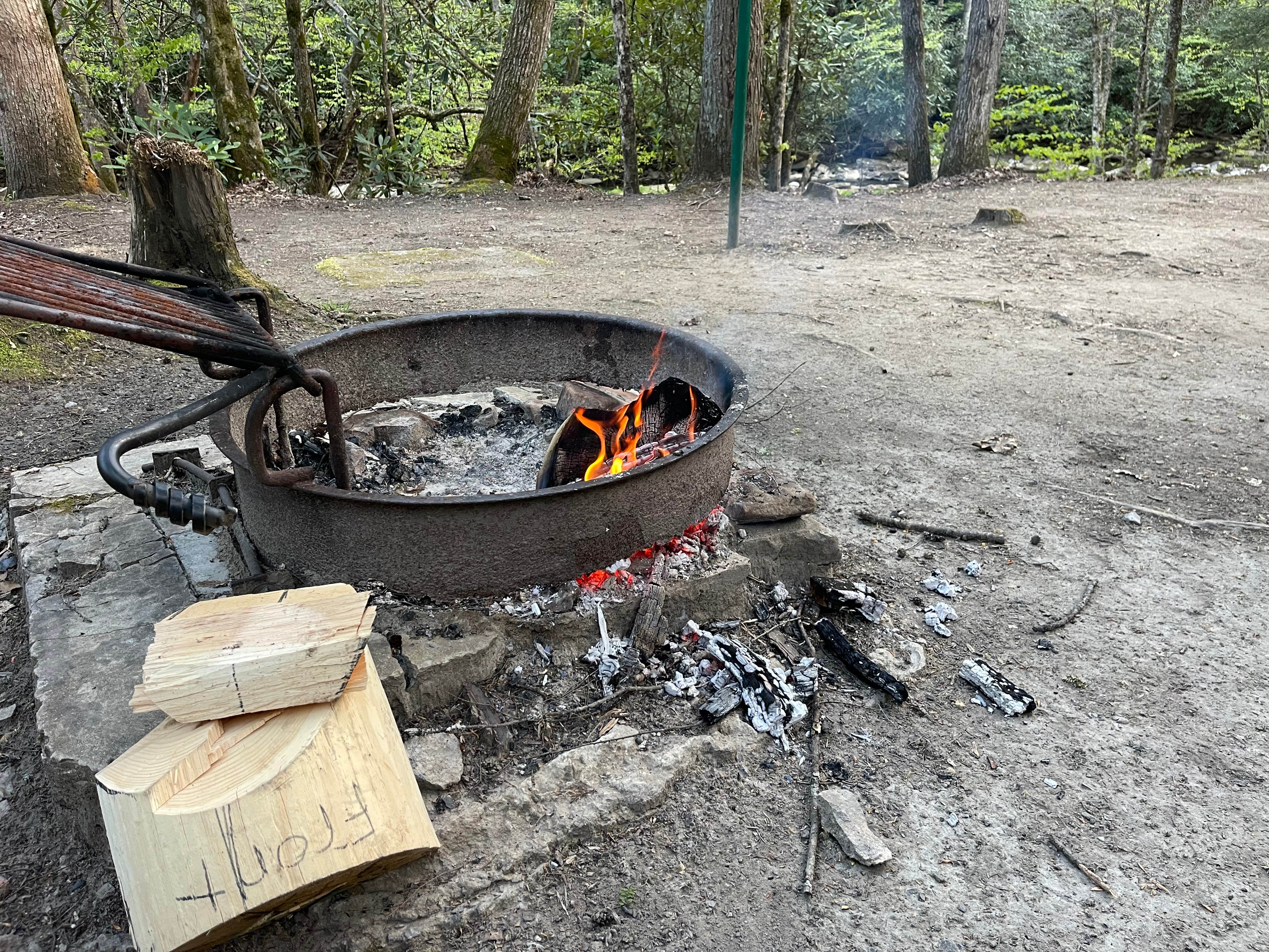 Camper submitted image from Camp Creek State Park Campground - 2