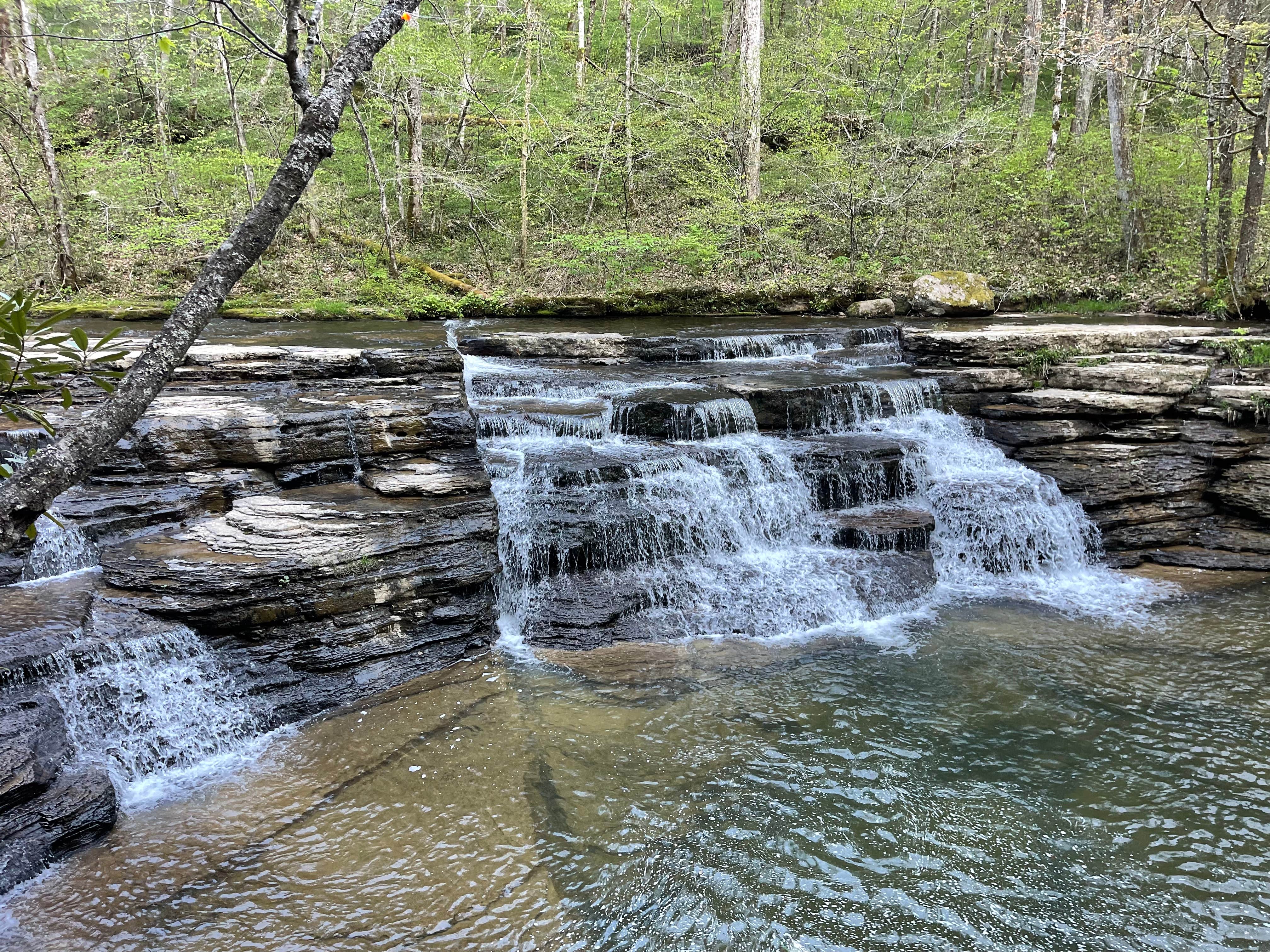 Camper submitted image from Camp Creek State Park Campground - 3