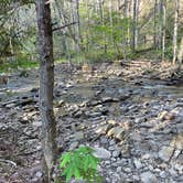 Review photo of Camp Creek State Park Campground by Mark K., May 22, 2023
