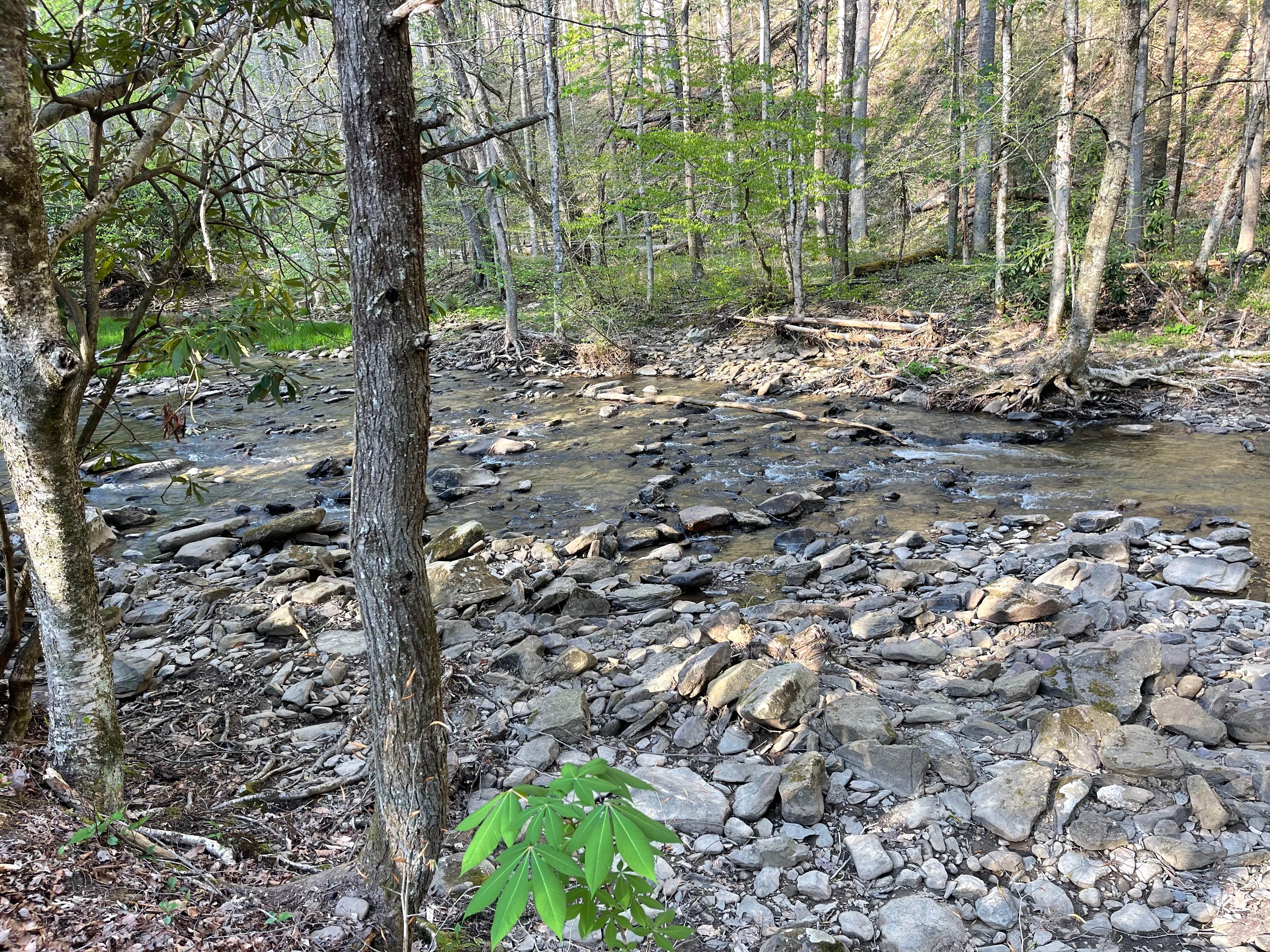 Camper submitted image from Camp Creek State Park Campground - 5