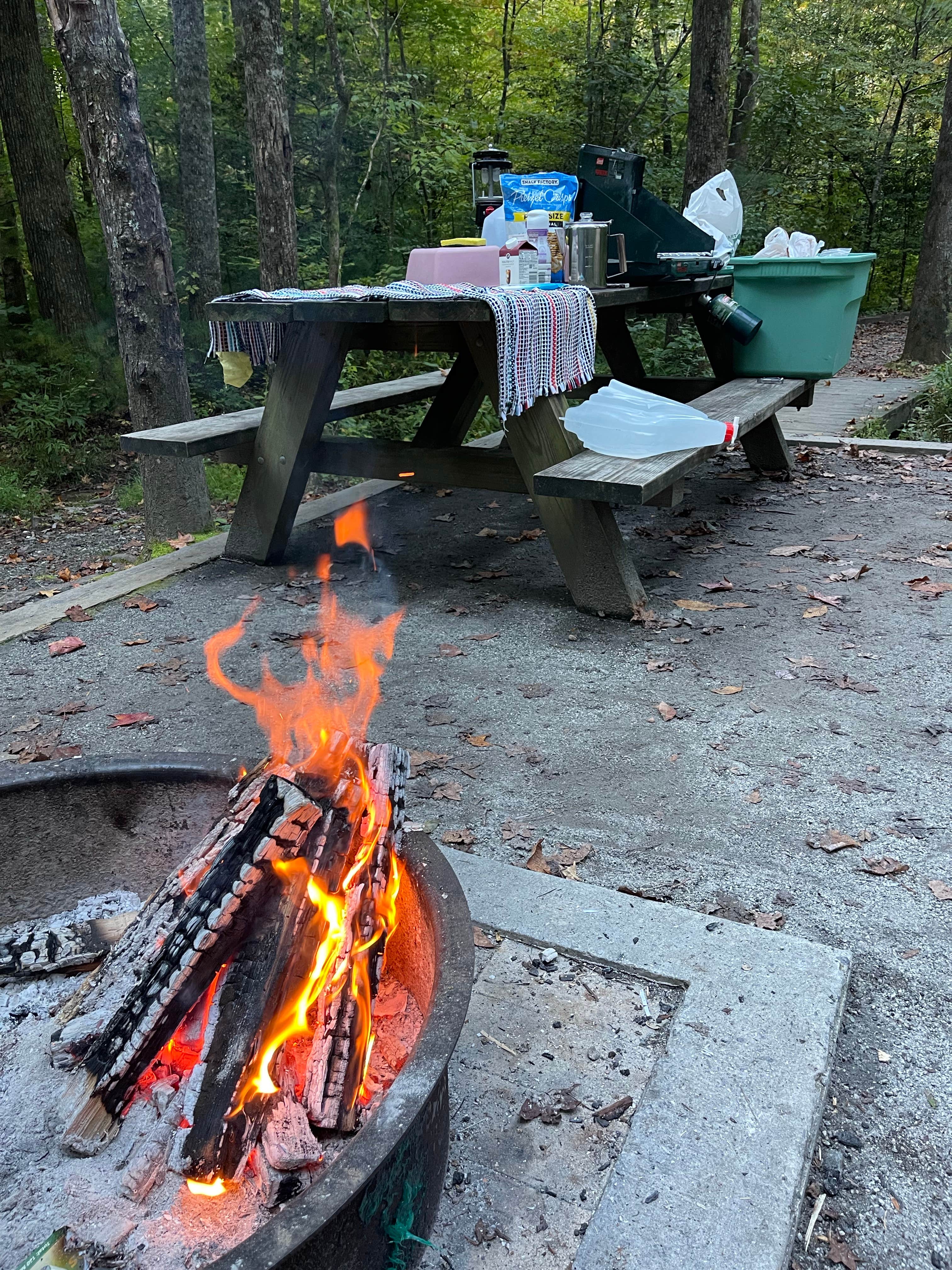 Mark K.'s photo at South Mountains State Park Family Campground near Casar, NC
