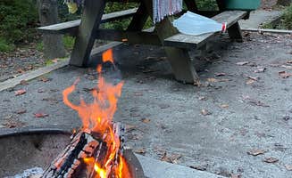Mark K.'s photo at South Mountains State Park Family Campground near Denver, NC