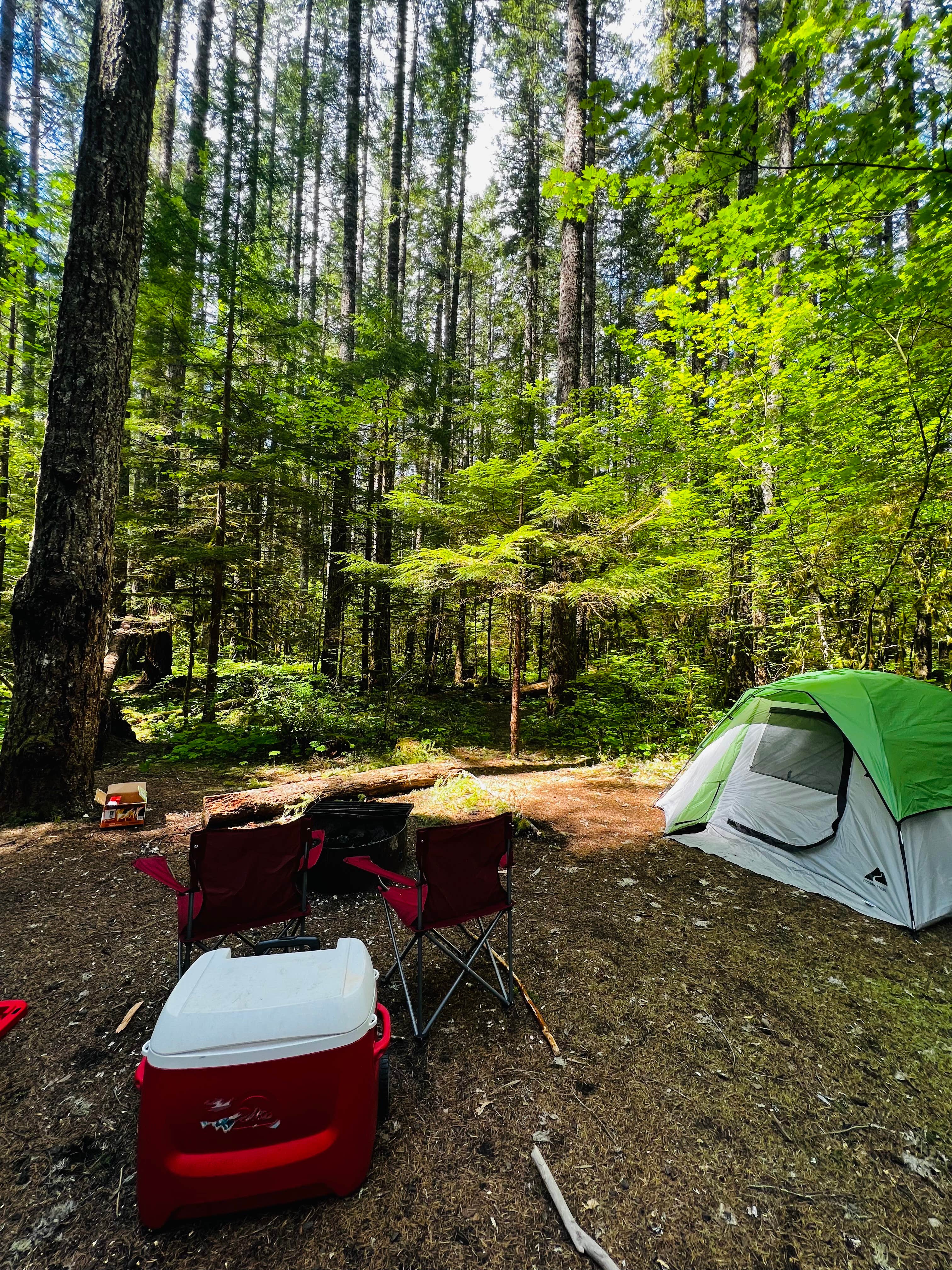 Boston S.'s photo at Lower Falls Campground near Gifford Pinchot National Forest