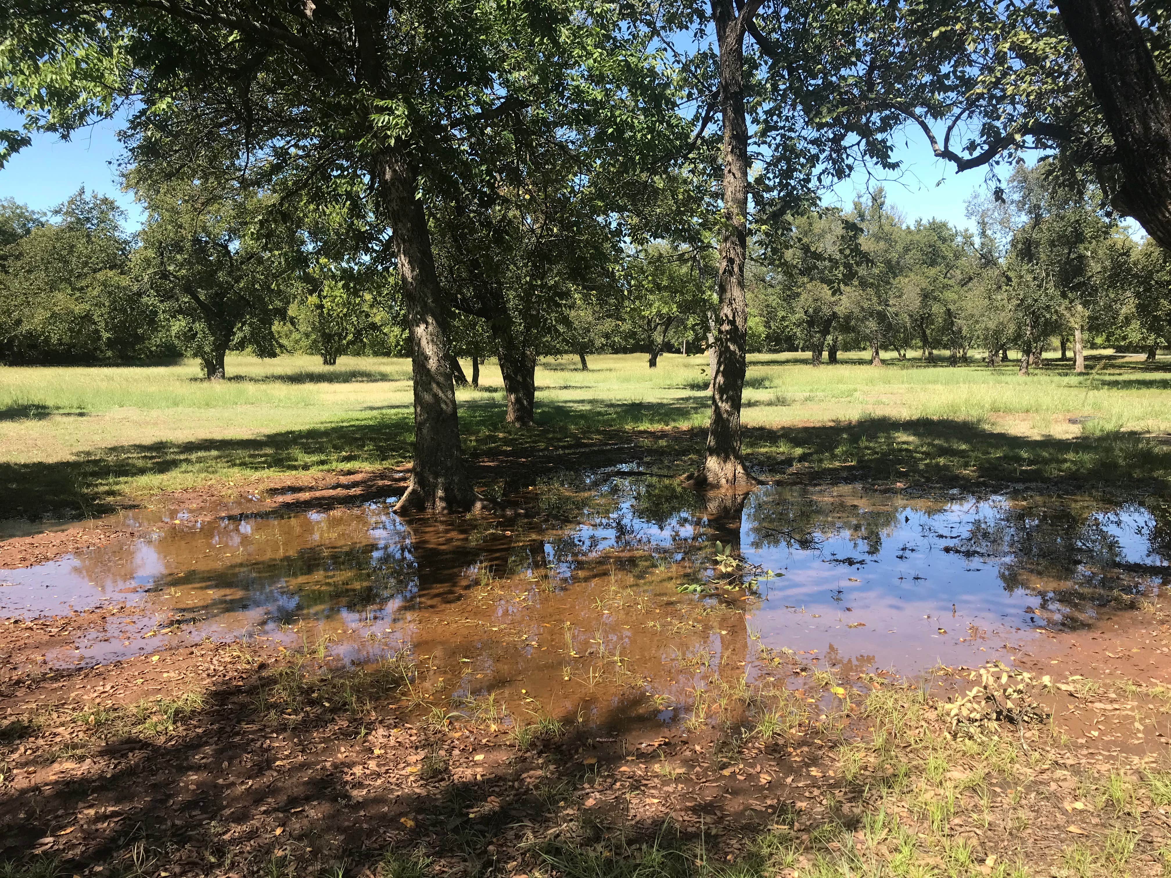 Camper-submitted photo at Moneka Park near Waurika Lake