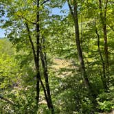 Review photo of Meador Campground — Bluestone Lake State Park by Mark K., May 22, 2023