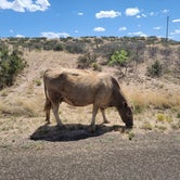 Review photo of Dog Canyon Campground — Guadalupe Mountains National Park by Kurtis S., May 22, 2023