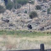 Review photo of Dog Canyon Campground — Guadalupe Mountains National Park by Kurtis S., May 22, 2023