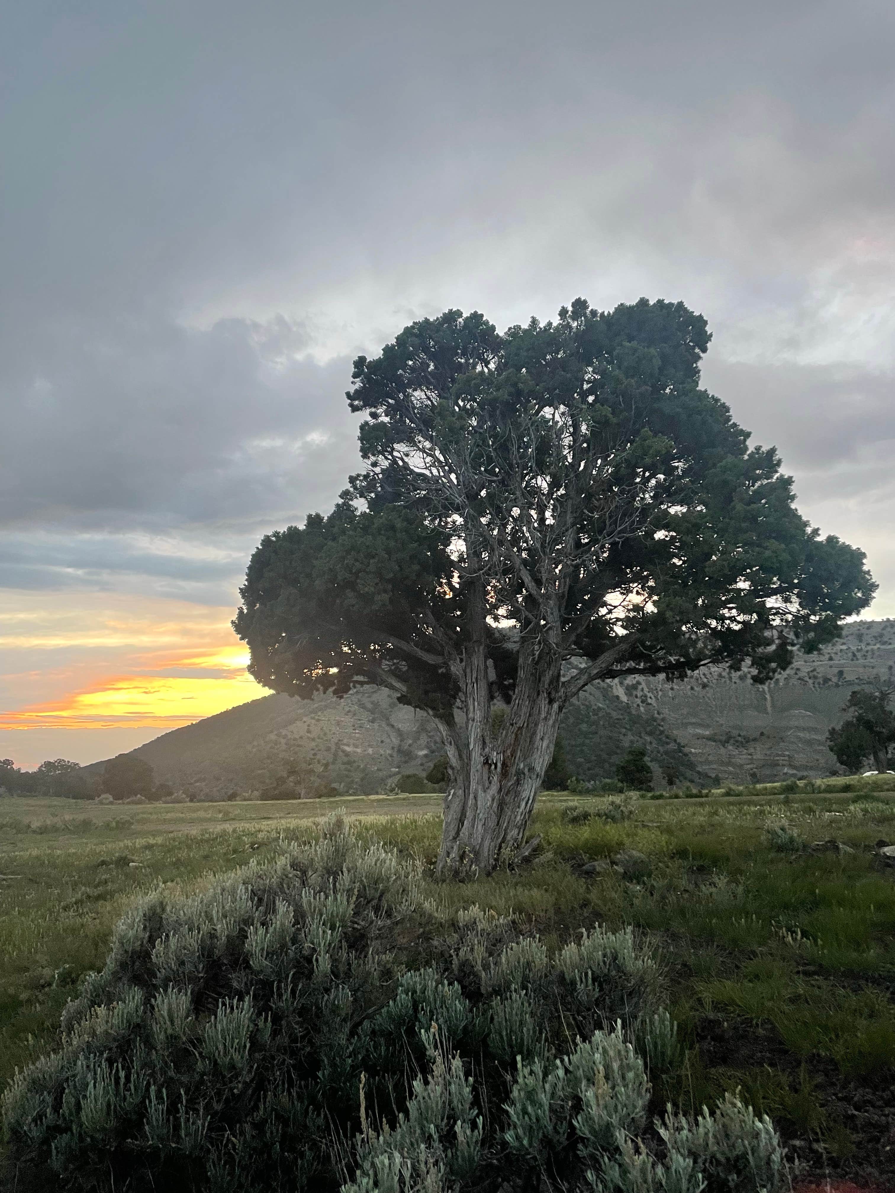 Camper submitted image from Lands End Camp - 2