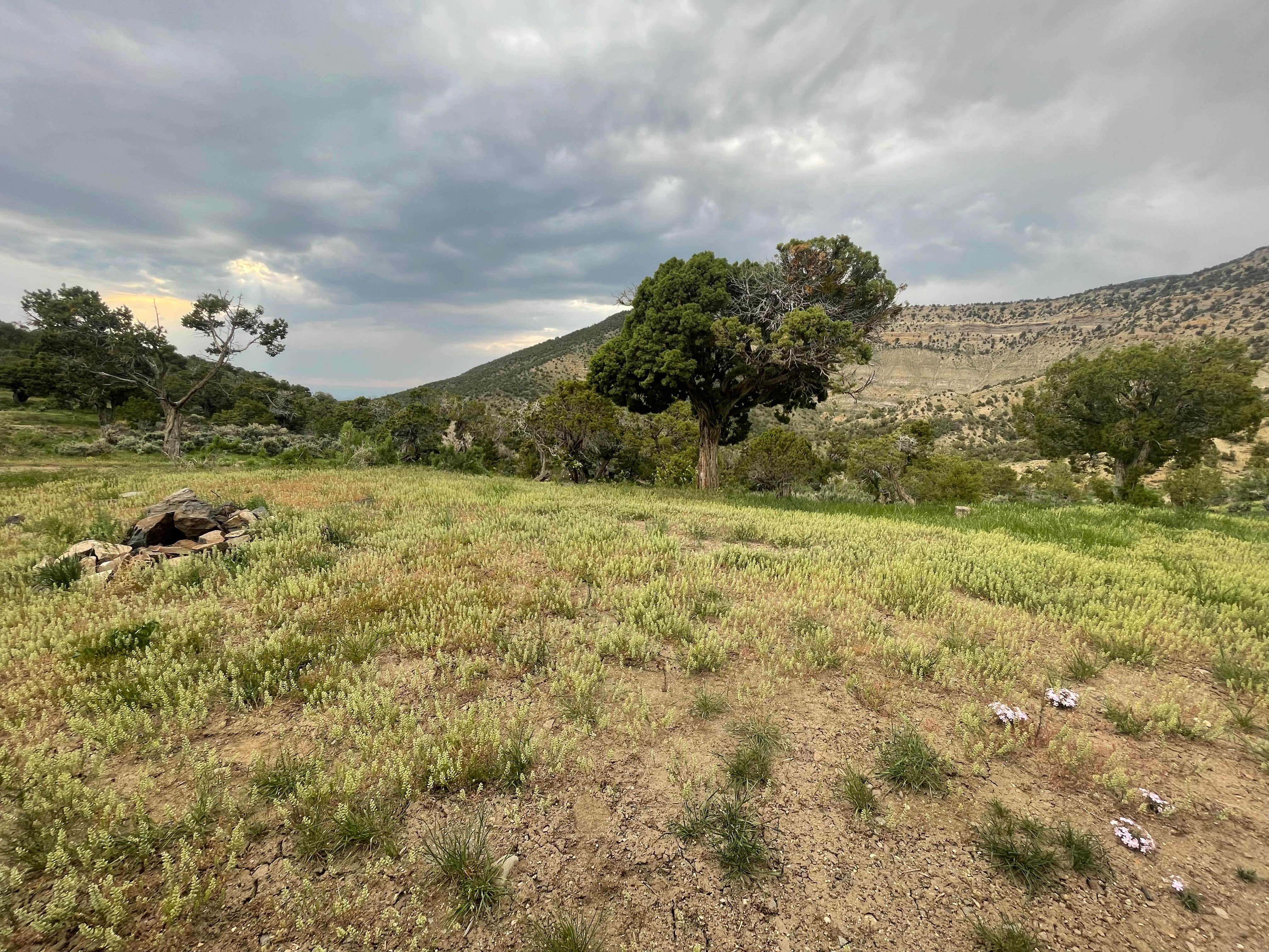 Camper-submitted photo at Lands End Camp near Whitewater, CO