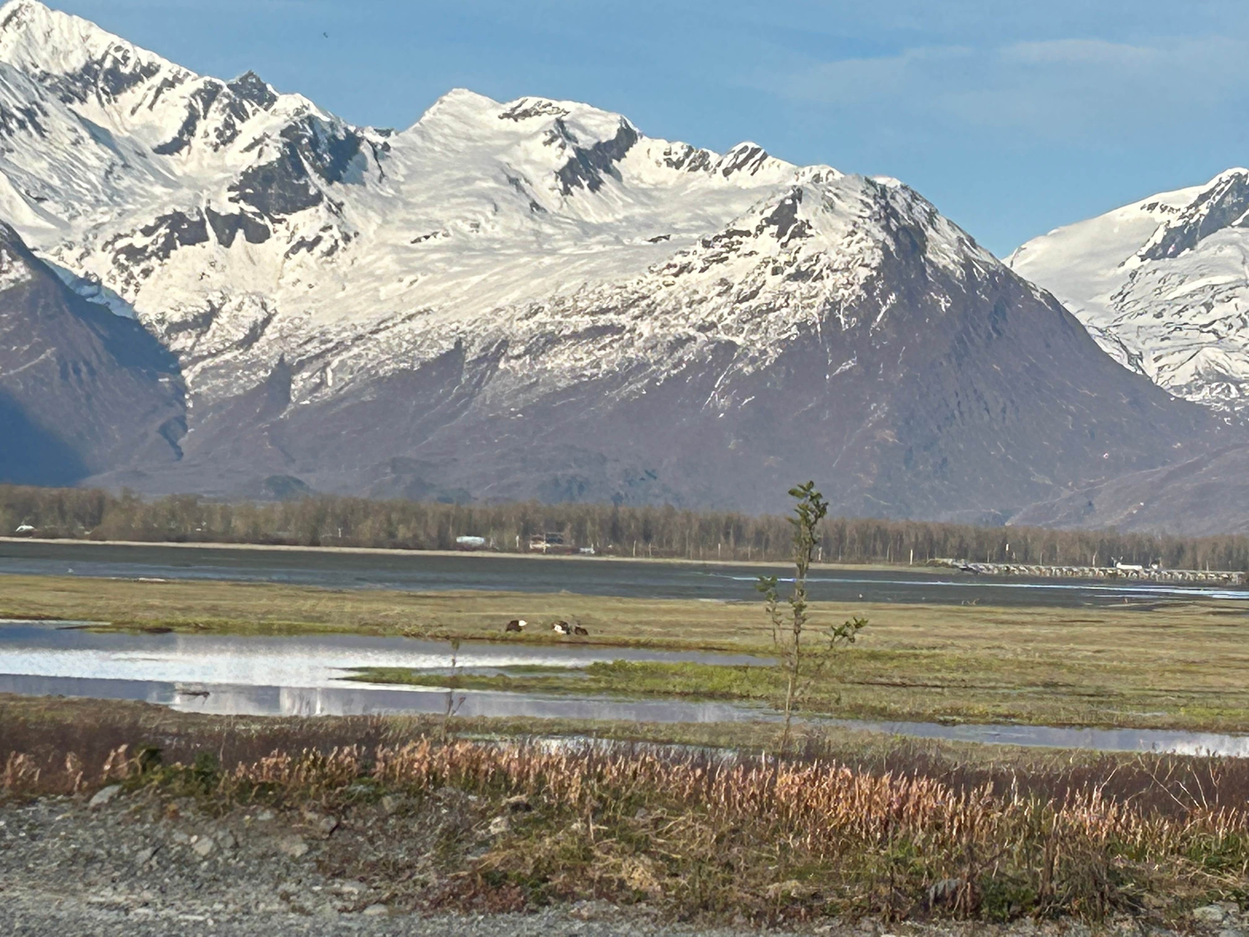 Camper submitted image from Valdez RV Park - 4