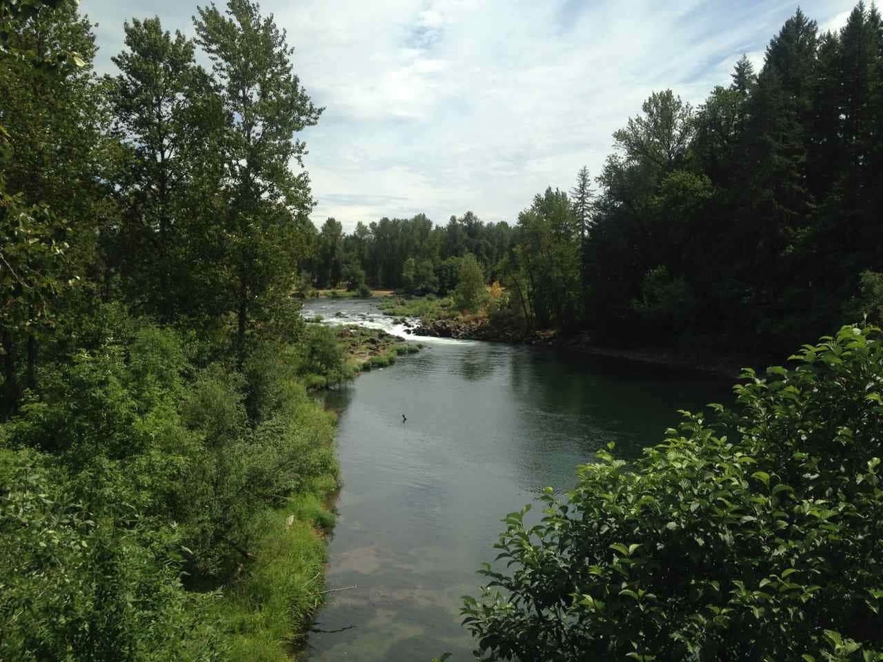 Camper-submitted photo at Waterloo County Park near Foster, OR