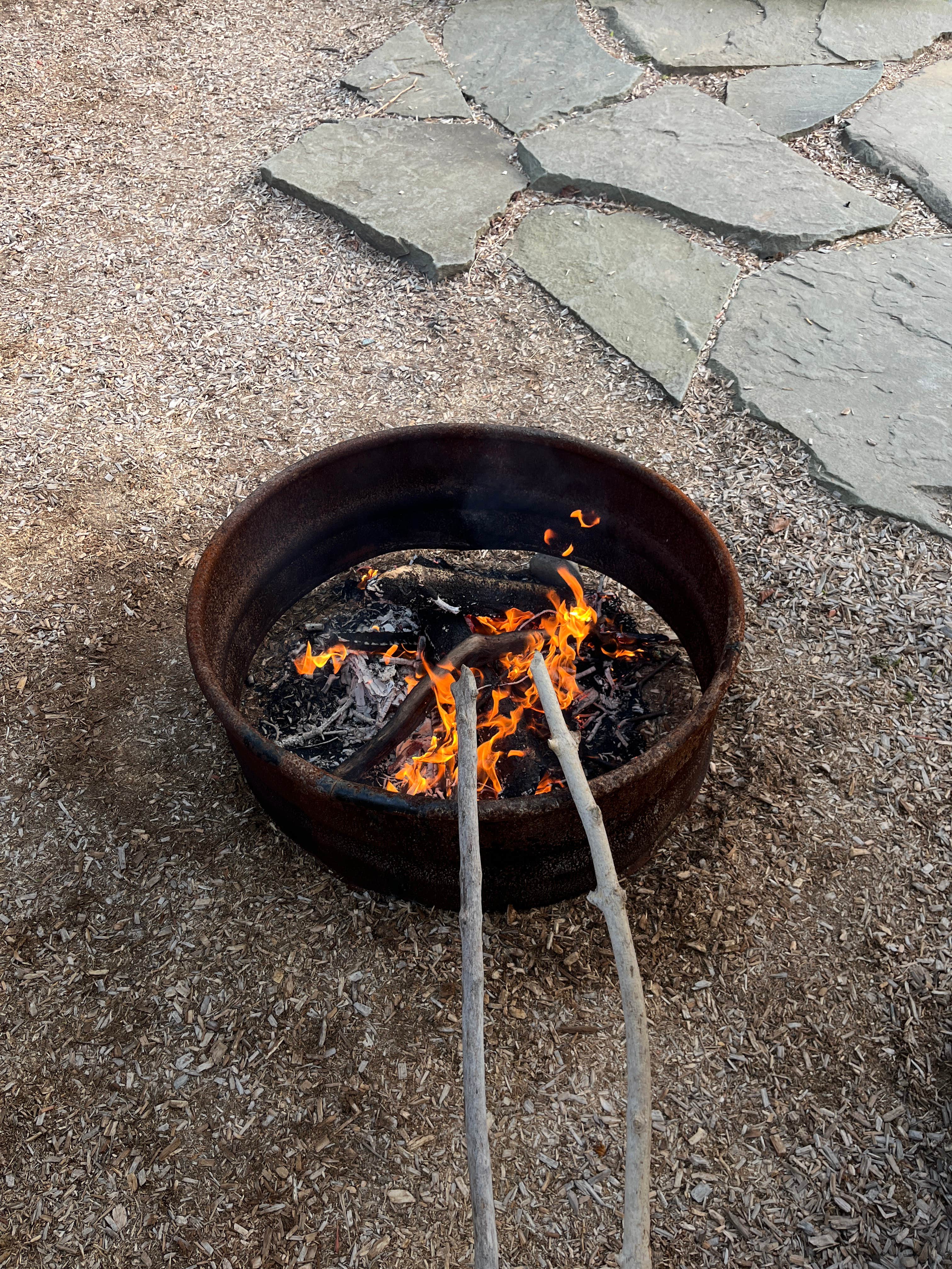 Camper-submitted photo at Roscoe Campsites near Upper Delaware National Scenic and Recreation River