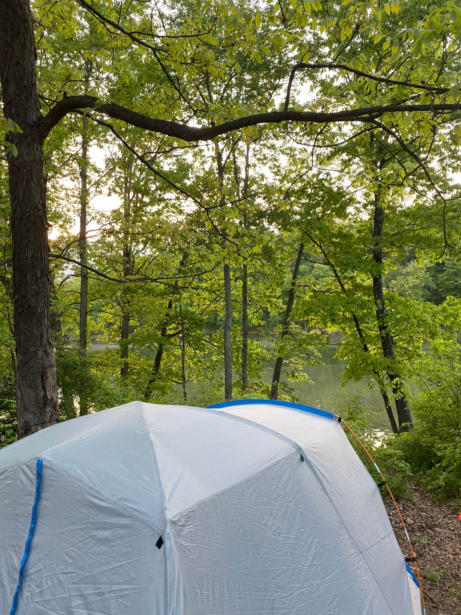 CampgroundKaren ..'s photo at Wolf Run State Park Campground near New Concord, OH