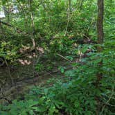 Review photo of Annie and Abel Van Meter State Park Campground by Nathan P., May 22, 2023