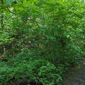 Review photo of Annie and Abel Van Meter State Park Campground by Nathan P., May 22, 2023