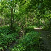 Review photo of Annie and Abel Van Meter State Park Campground by Nathan P., May 22, 2023