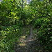 Review photo of Annie and Abel Van Meter State Park Campground by Nathan P., May 22, 2023