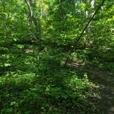 Review photo of Annie and Abel Van Meter State Park Campground by Nathan P., May 22, 2023