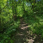 Review photo of Annie and Abel Van Meter State Park Campground by Nathan P., May 22, 2023