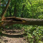 Review photo of Annie and Abel Van Meter State Park Campground by Nathan P., May 22, 2023