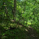 Review photo of Annie and Abel Van Meter State Park Campground by Nathan P., May 22, 2023