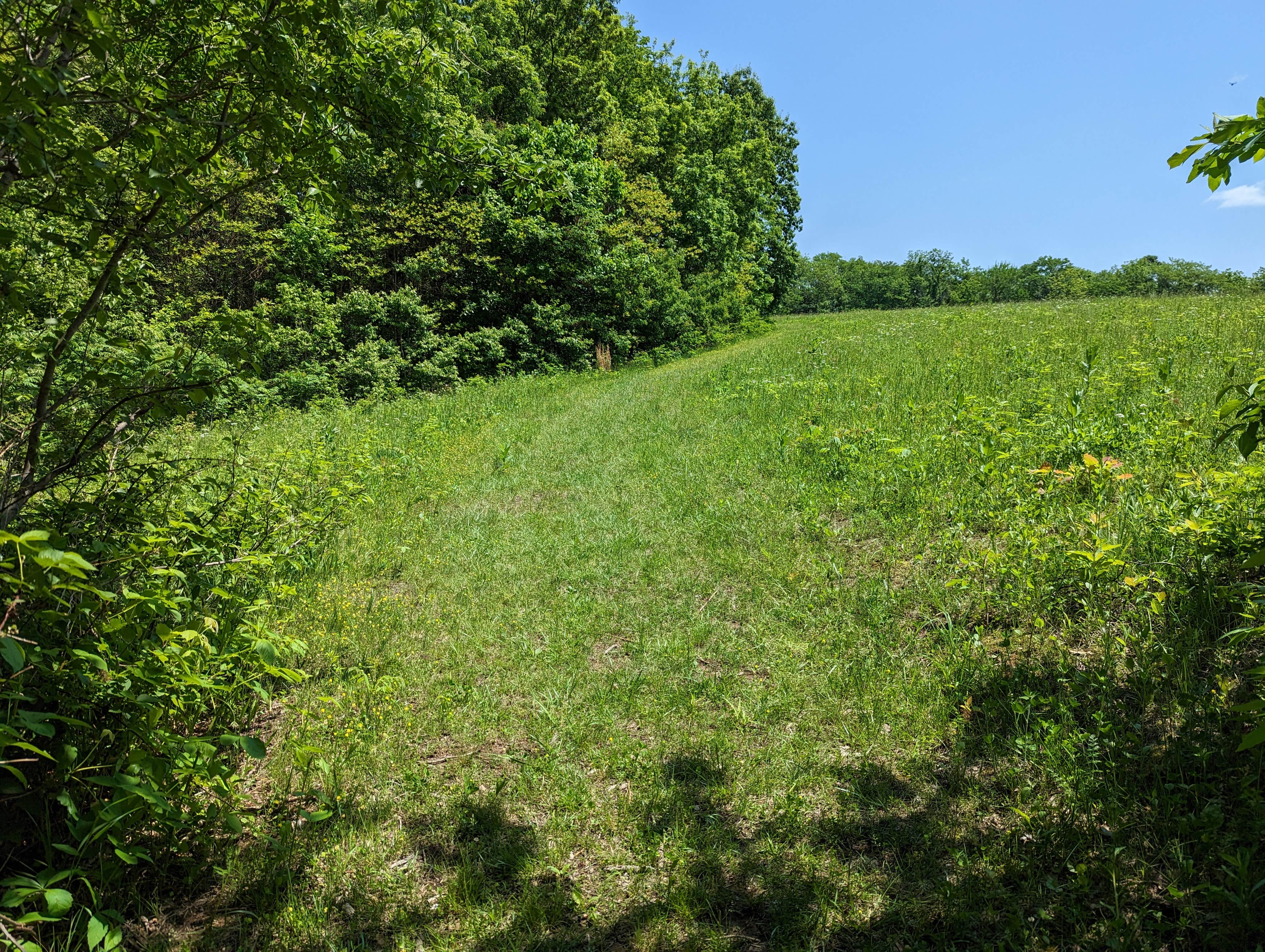 Camper-submitted photo at Annie and Abel Van Meter State Park Campground near Sumner, MO