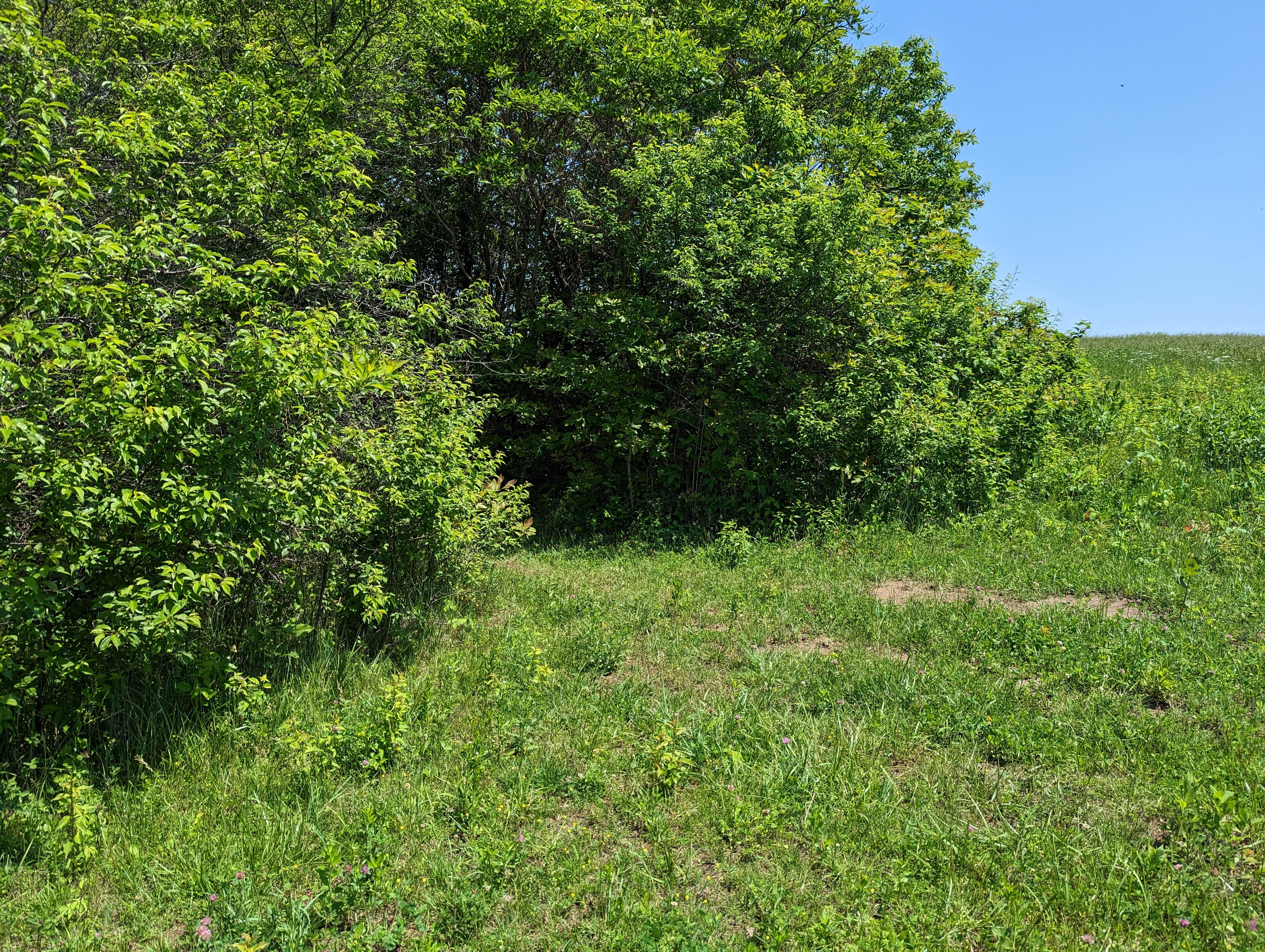 Camper-submitted photo at Annie and Abel Van Meter State Park Campground near Sumner, MO