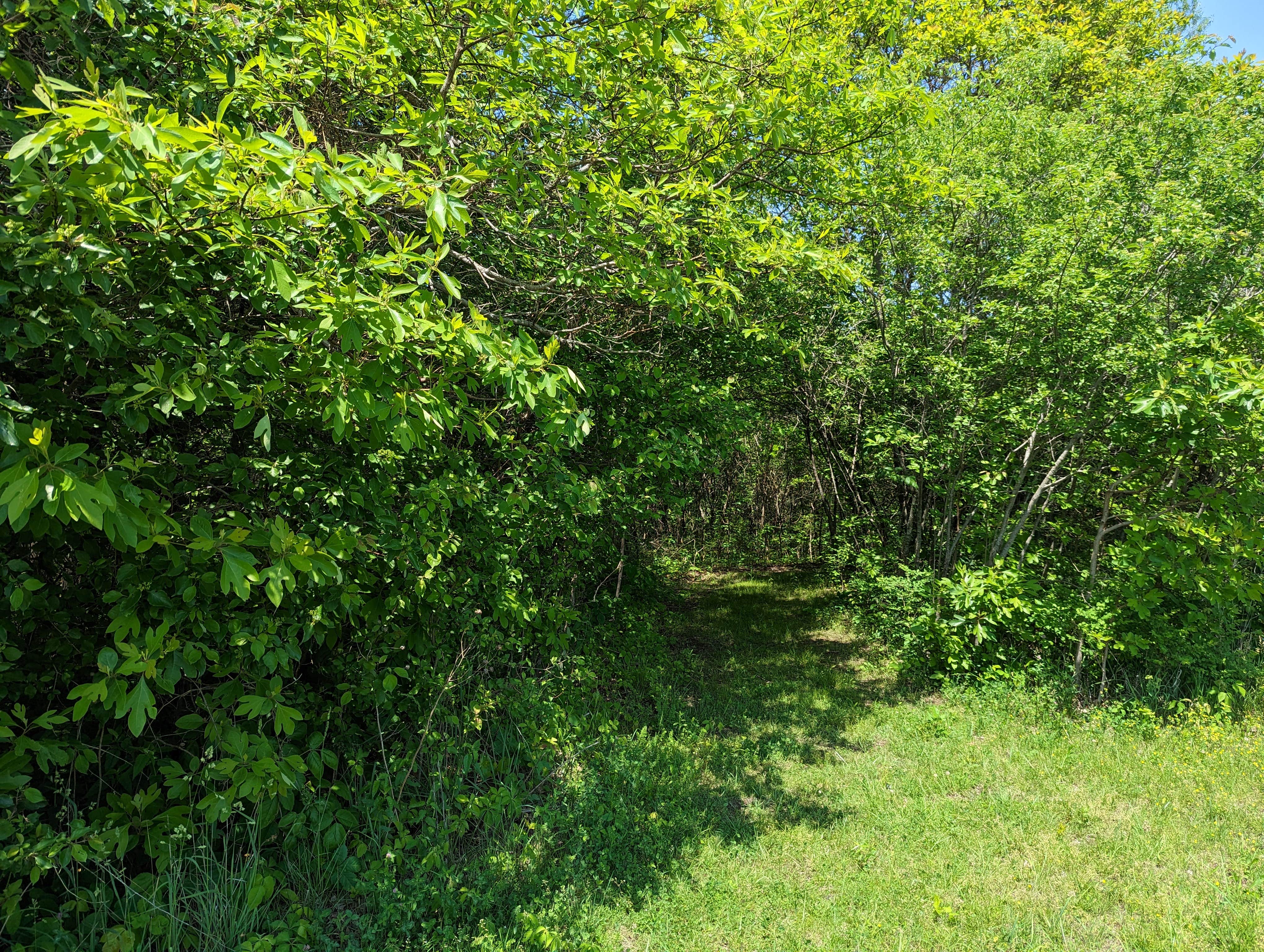 Camper-submitted photo at Annie and Abel Van Meter State Park Campground near Sumner, MO