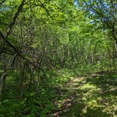 Review photo of Annie and Abel Van Meter State Park Campground by Nathan P., May 22, 2023