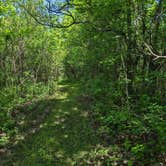 Review photo of Annie and Abel Van Meter State Park Campground by Nathan P., May 22, 2023