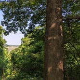 Review photo of Annie and Abel Van Meter State Park Campground by Nathan P., May 22, 2023