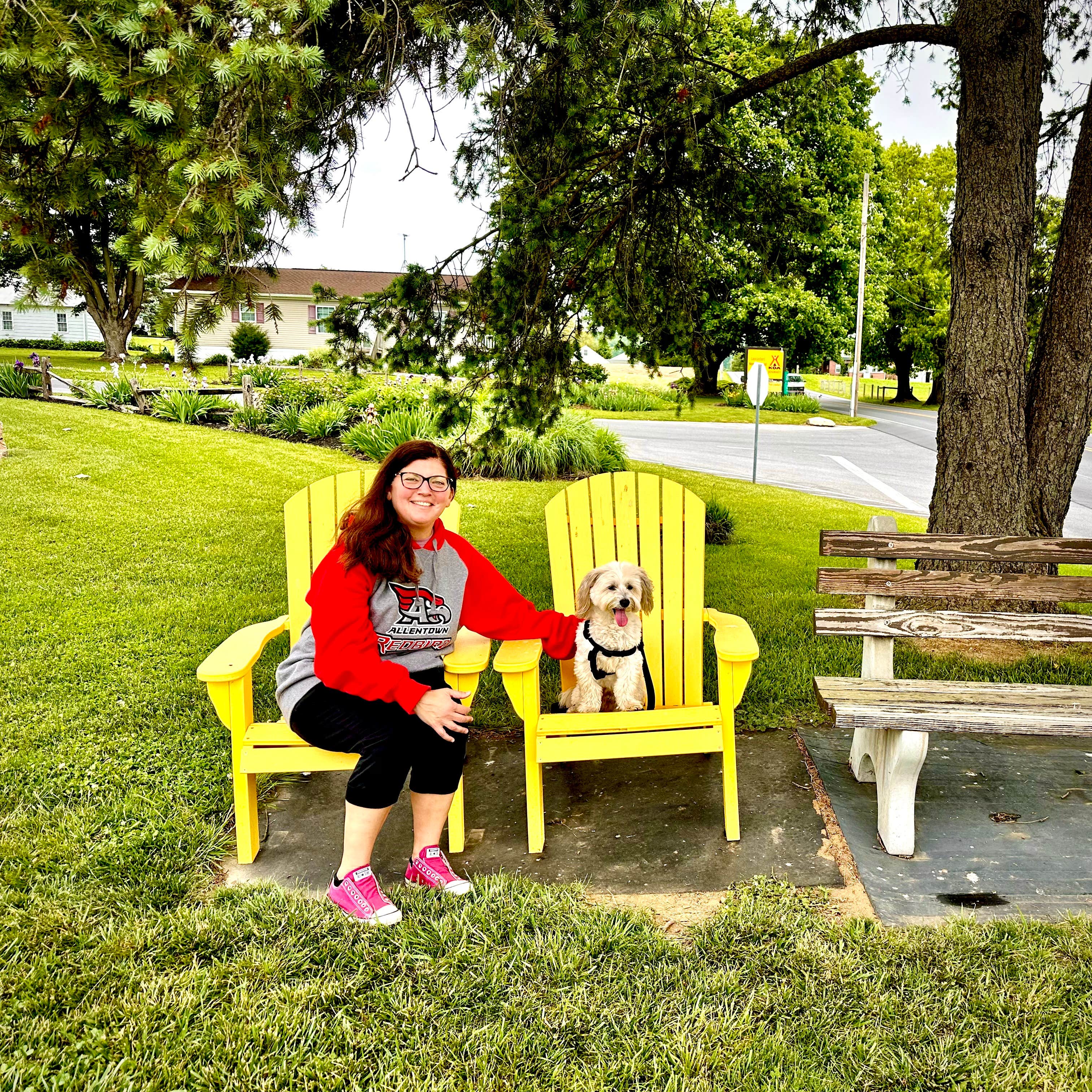 Matt S.'s photo of camping with pets at Lancaster-New Holland KOA near Wilmington, DE
