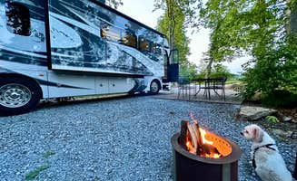 Matt S.'s photo of camping with pets at Lancaster-New Holland KOA near Hockessin, DE