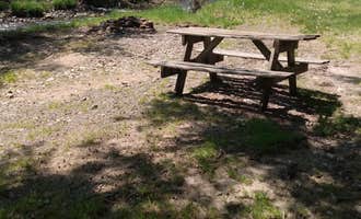 Camping near Covered Bridge Campsite: Willowemoc Campgrounds, Claryville, New York