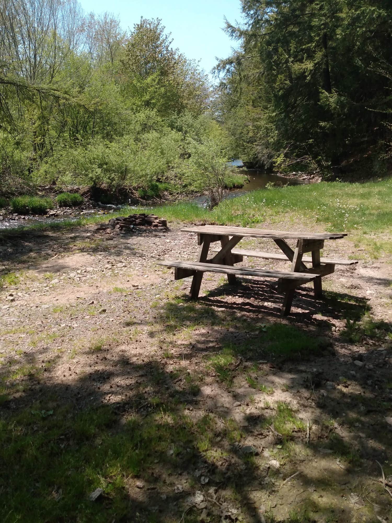 Camper submitted image from Willowemoc Campgrounds - 1