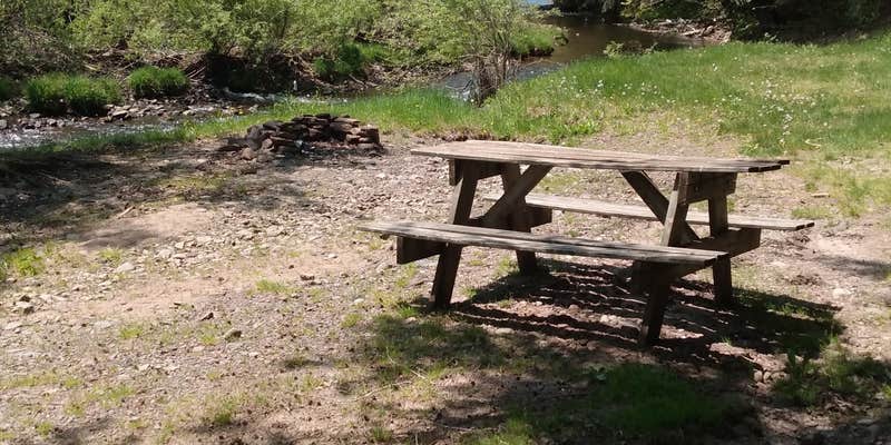 Camper submitted image from Willowemoc Campgrounds