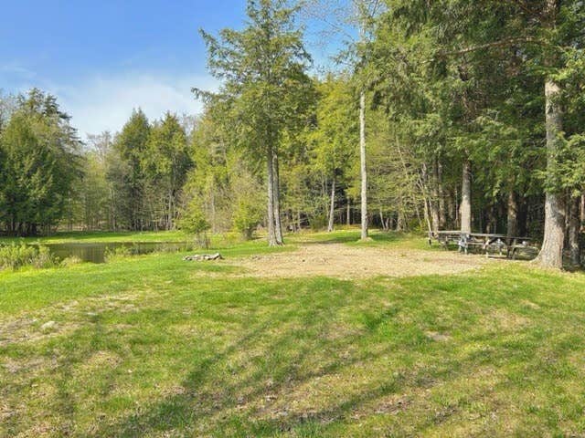 Camper-submitted photo at Willowemoc Campgrounds near Highmount, NY