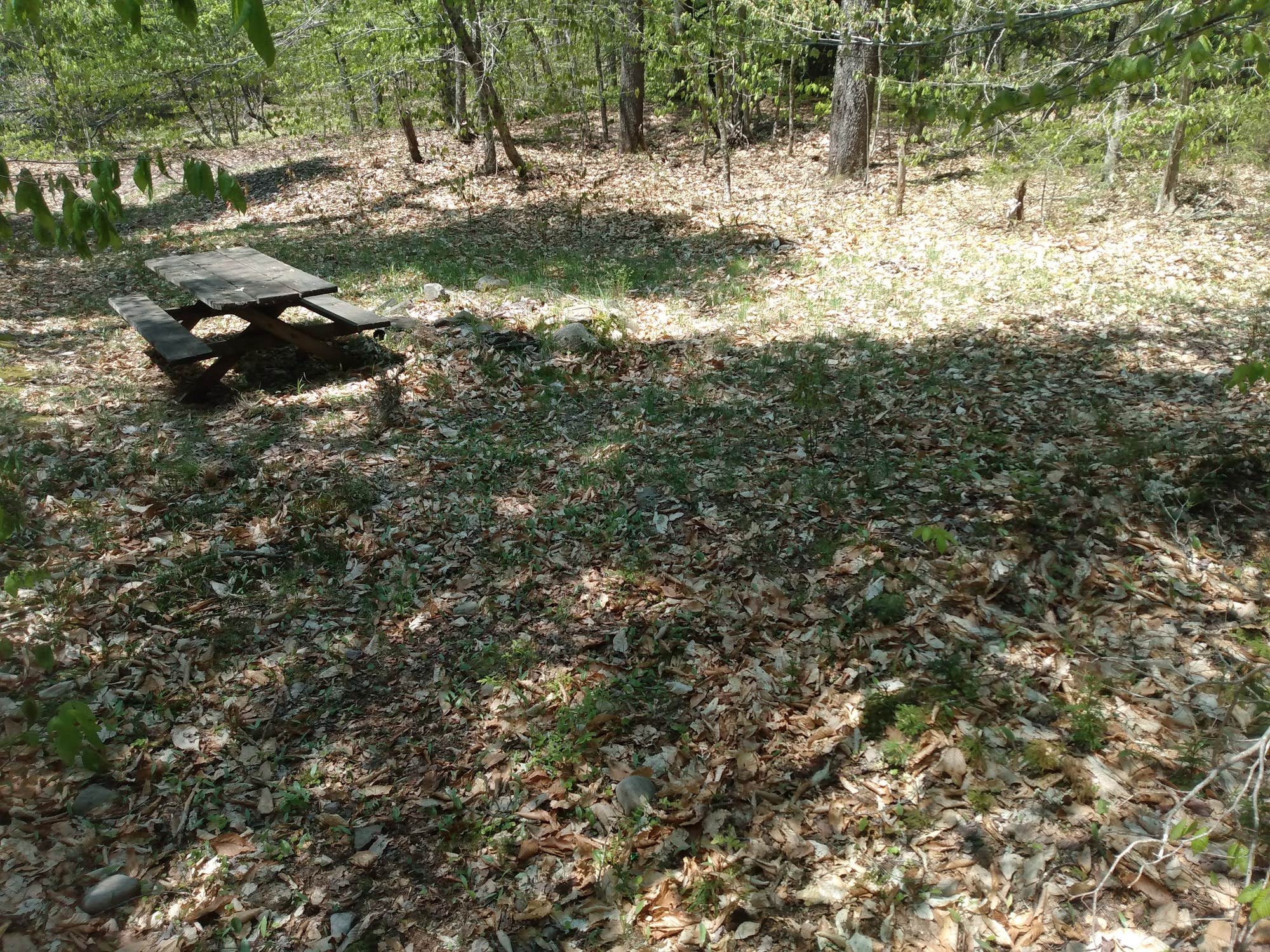 Camper-submitted photo at Willowemoc Campgrounds near Highmount, NY