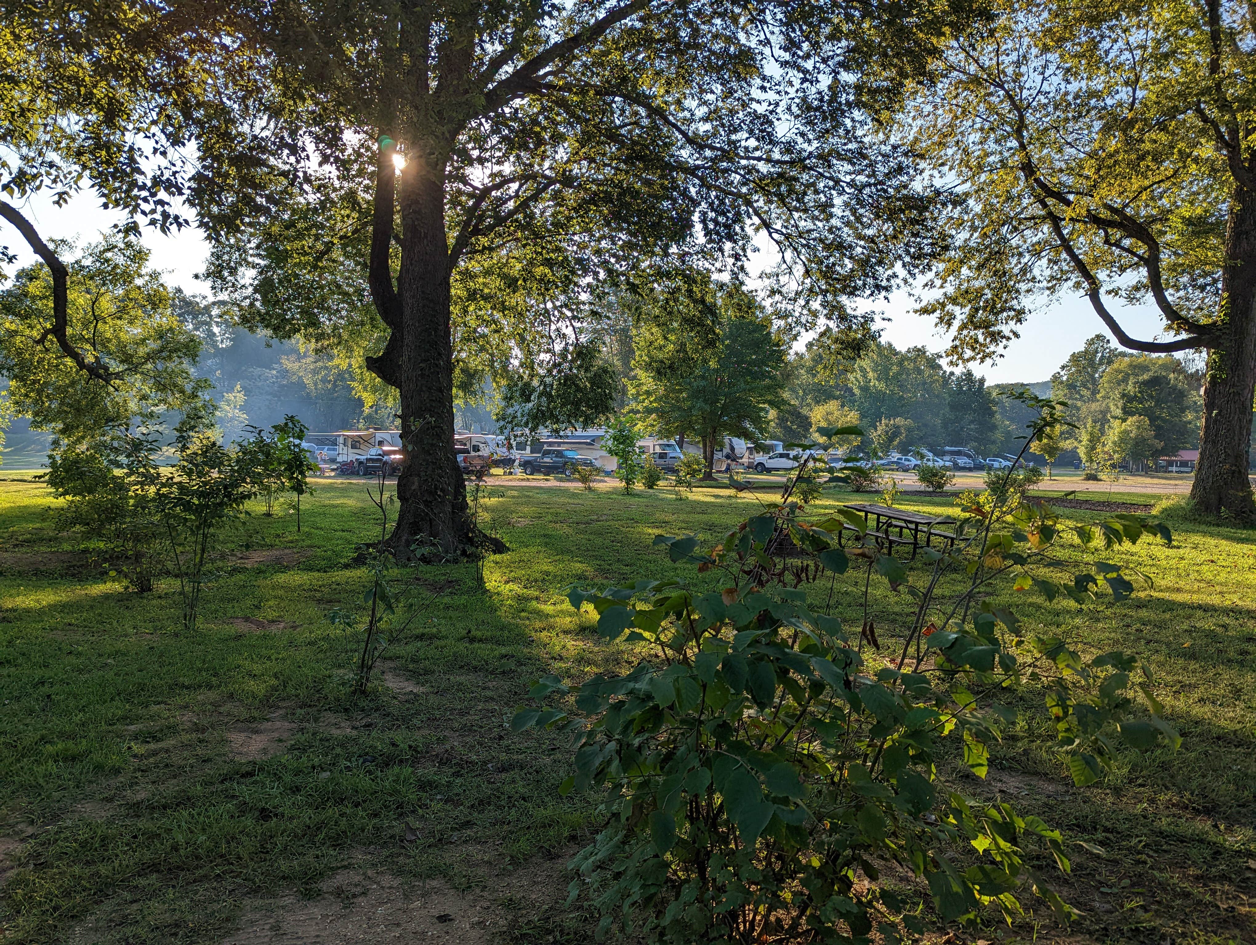 Camper-submitted photo at Huzzah Valley Resort near Steelville, MO