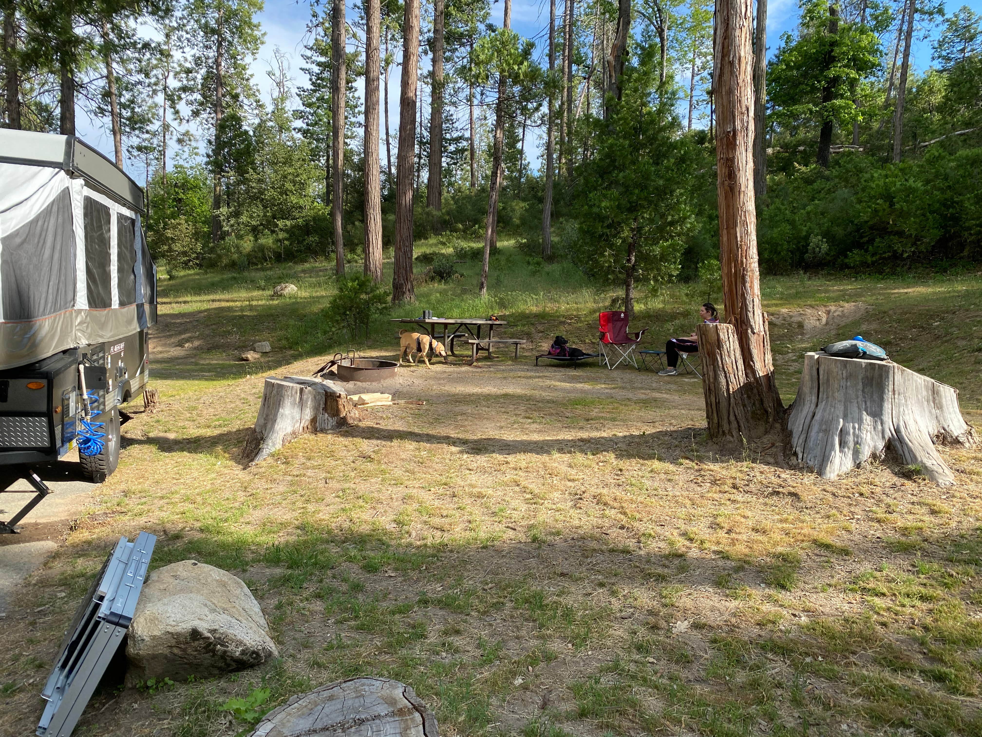 Troy L.'s photo of camping with pets at Spring Cove Campground near Friant, CA