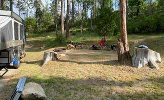 Troy L.'s photo of camping with pets at Spring Cove Campground near Bass Lake, CA