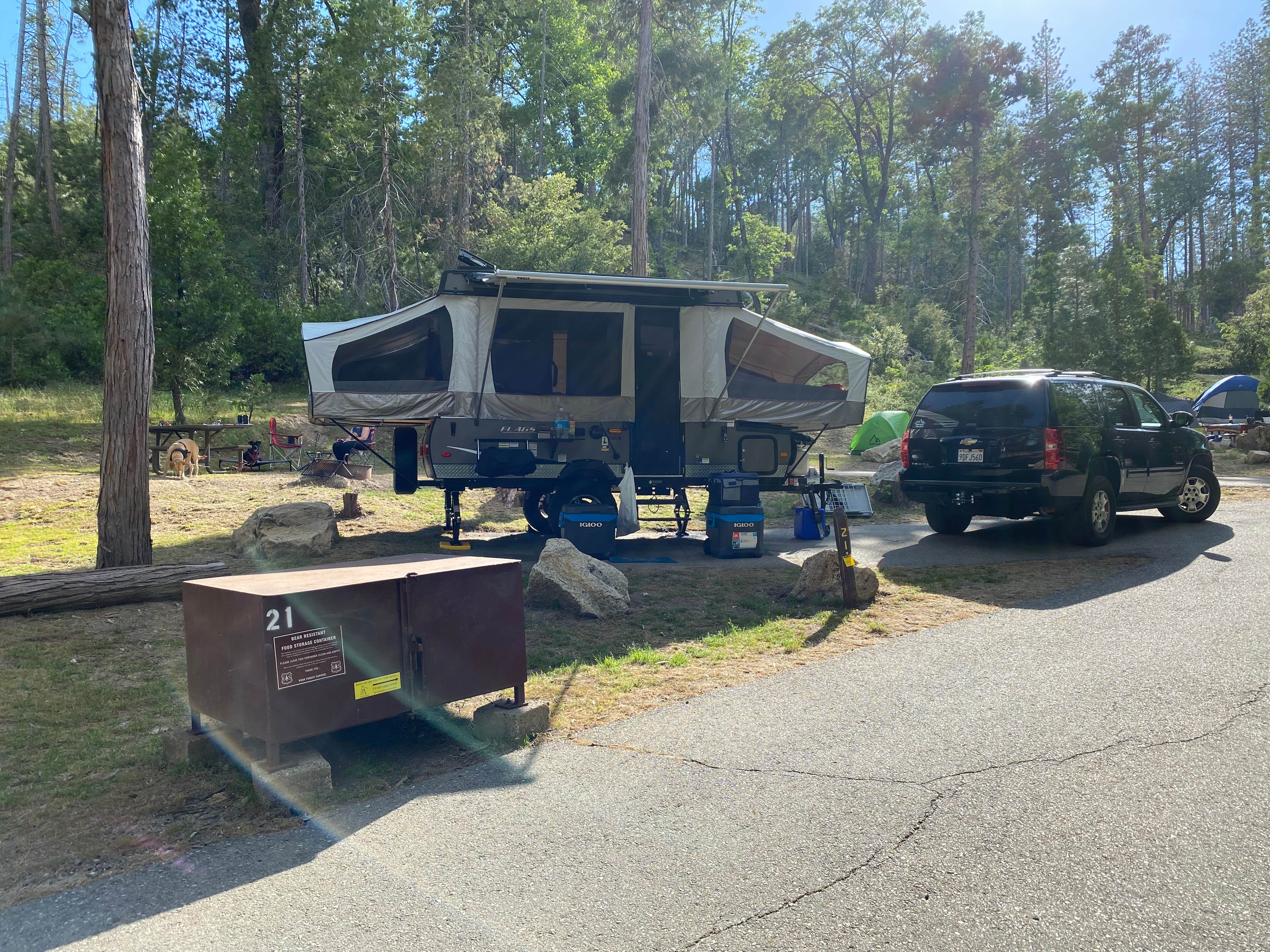 Camper submitted image from Spring Cove Campground - 3