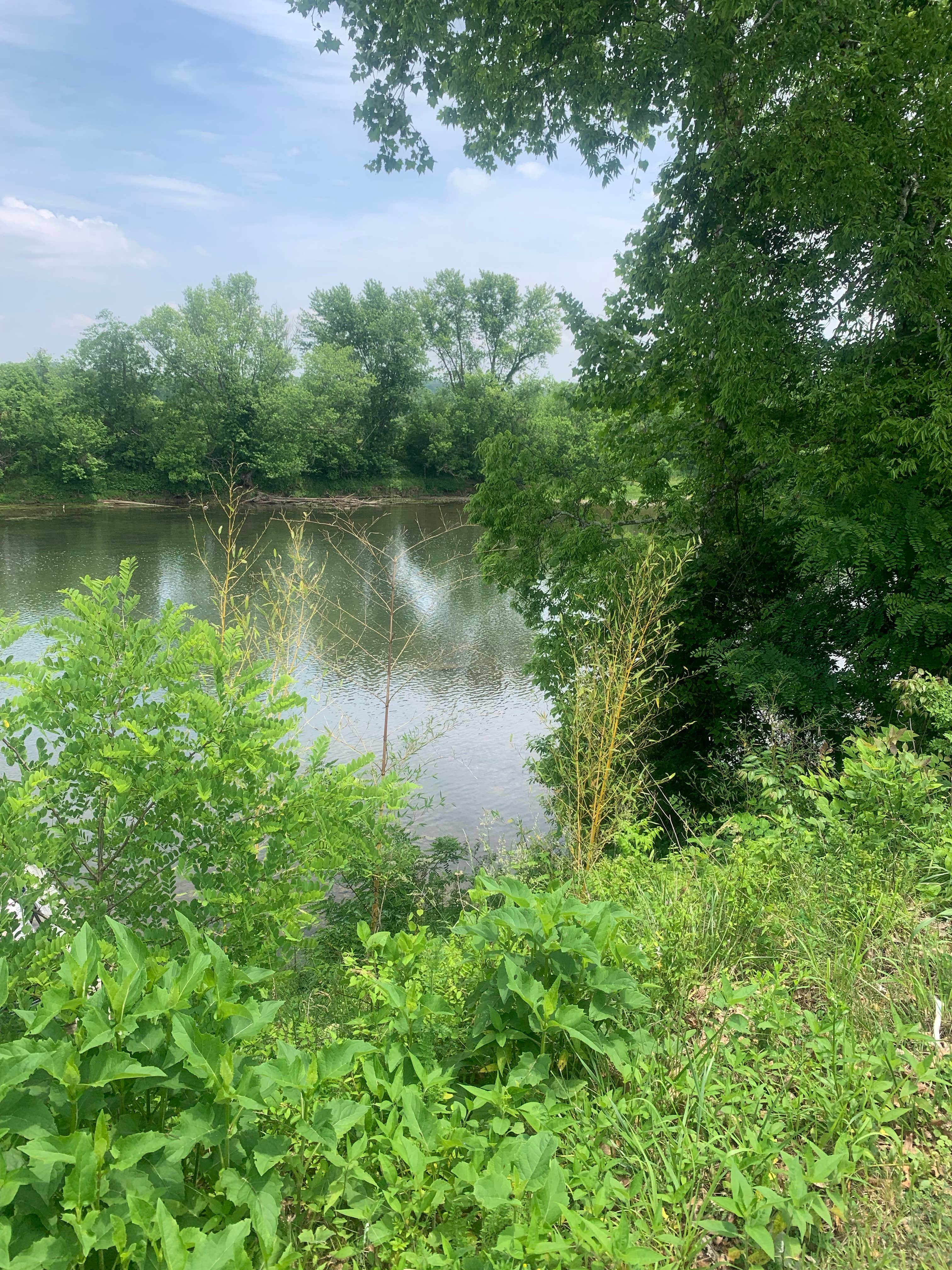Camper-submitted photo at Holston River Bank near Rutledge, TN