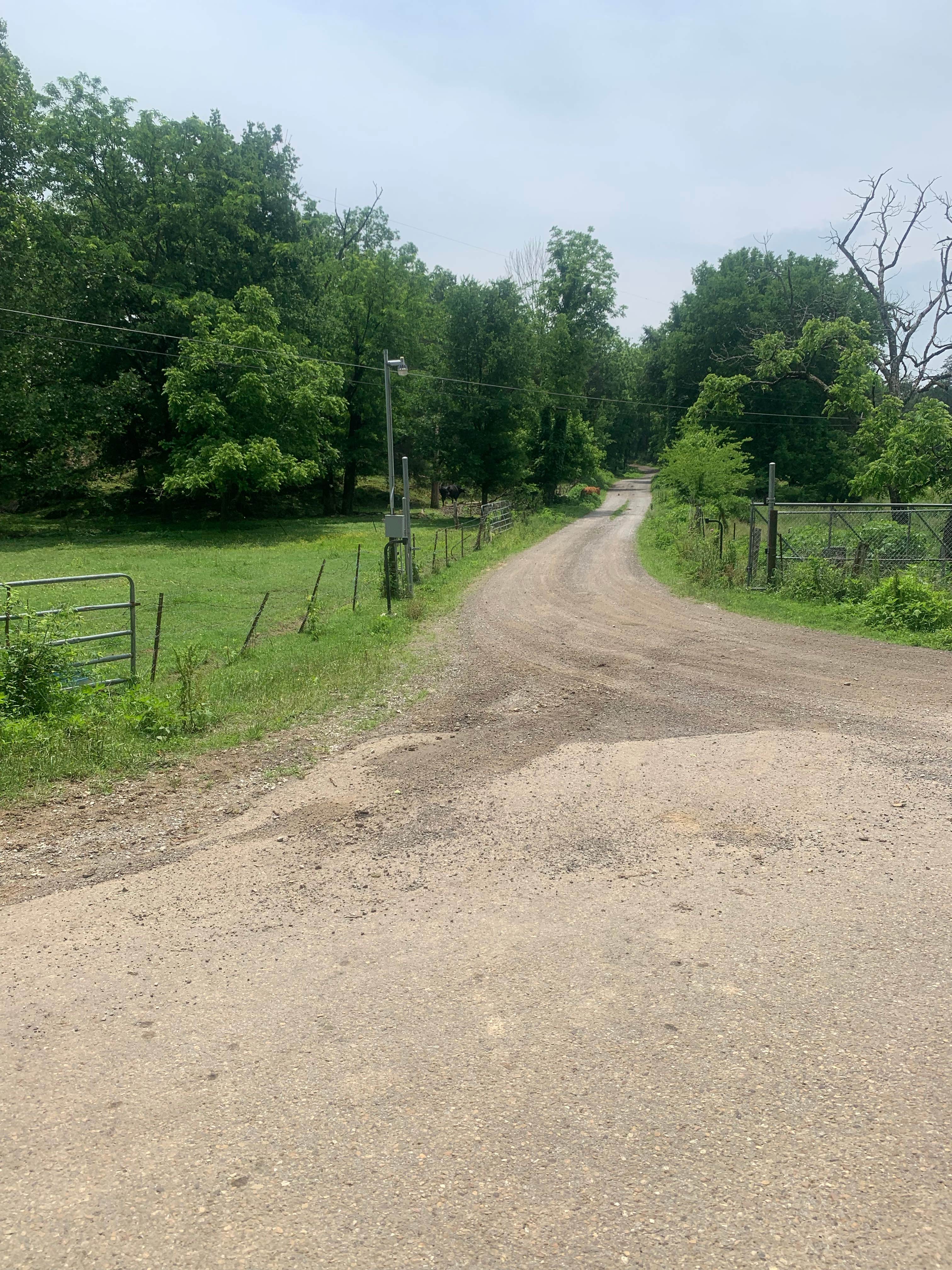 Camper-submitted photo at Holston River Bank near Rutledge, TN
