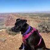 Review photo of Desert View Campground — Grand Canyon National Park by Troy L., May 22, 2023