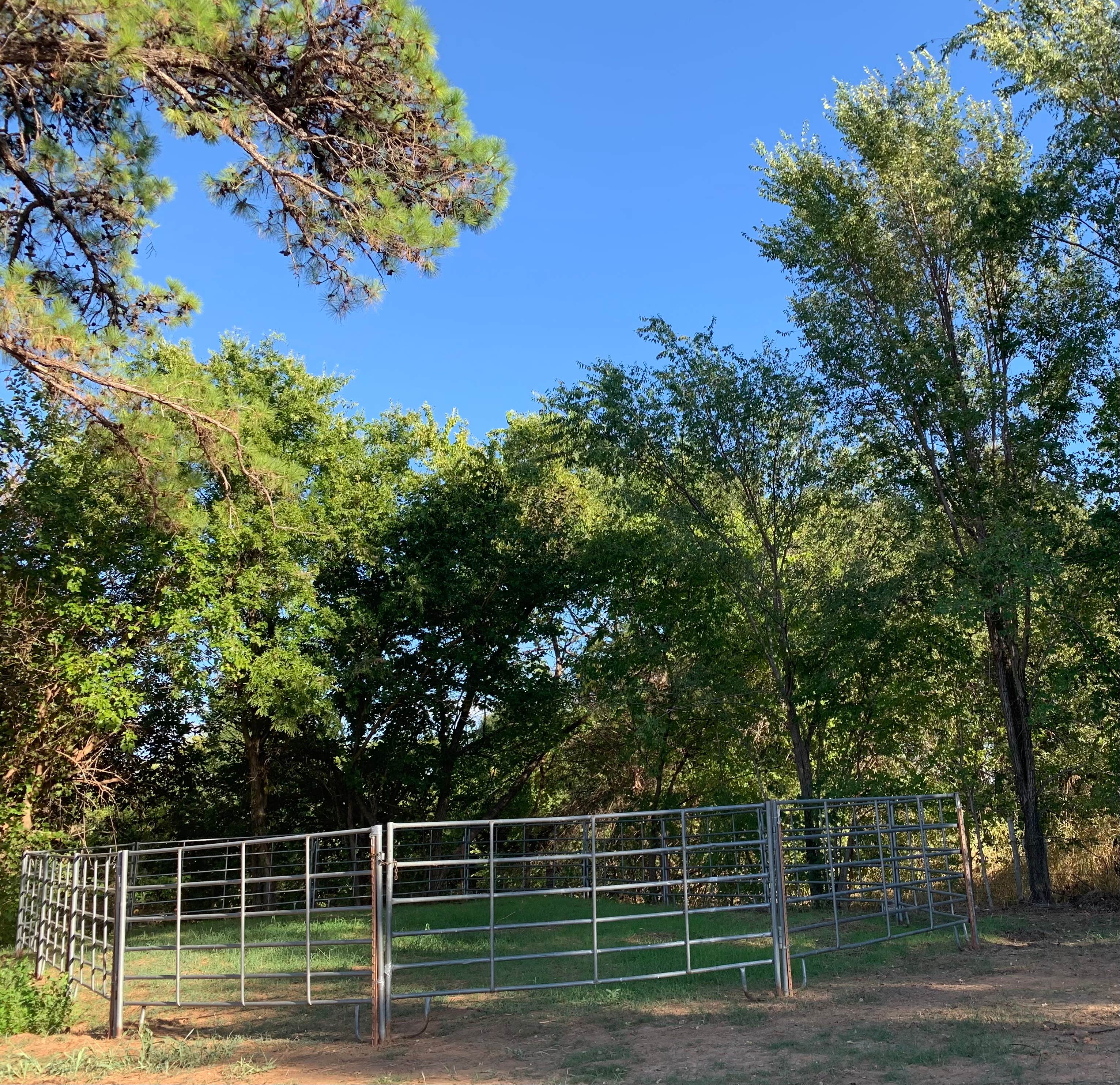 Camper-submitted photo at LinLee’s RV Park and Paddocks near Pauls Valley, OK