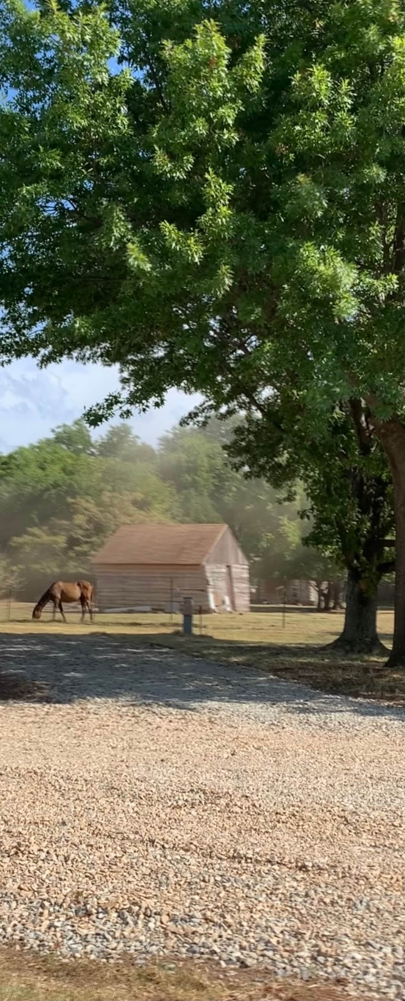Lacy J.'s photo of camping with a horse at LinLee’s RV Park and Paddocks near Davis, OK