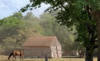 Lacy J.'s photo of camping with a horse at LinLee’s RV Park and Paddocks near Duncan, OK